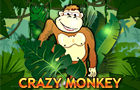 Crazy Monkey