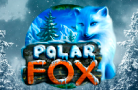 Polar Fox